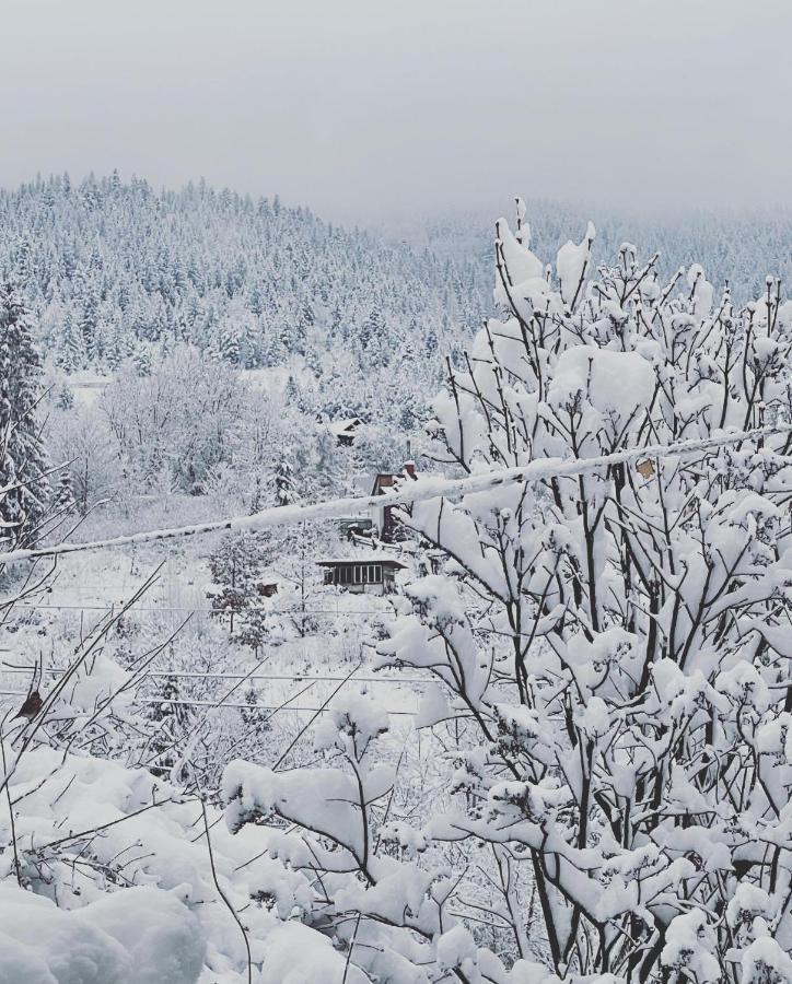 Appartamento Zabava Jaremče Esterno foto