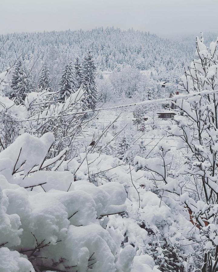 Appartamento Zabava Jaremče Esterno foto
