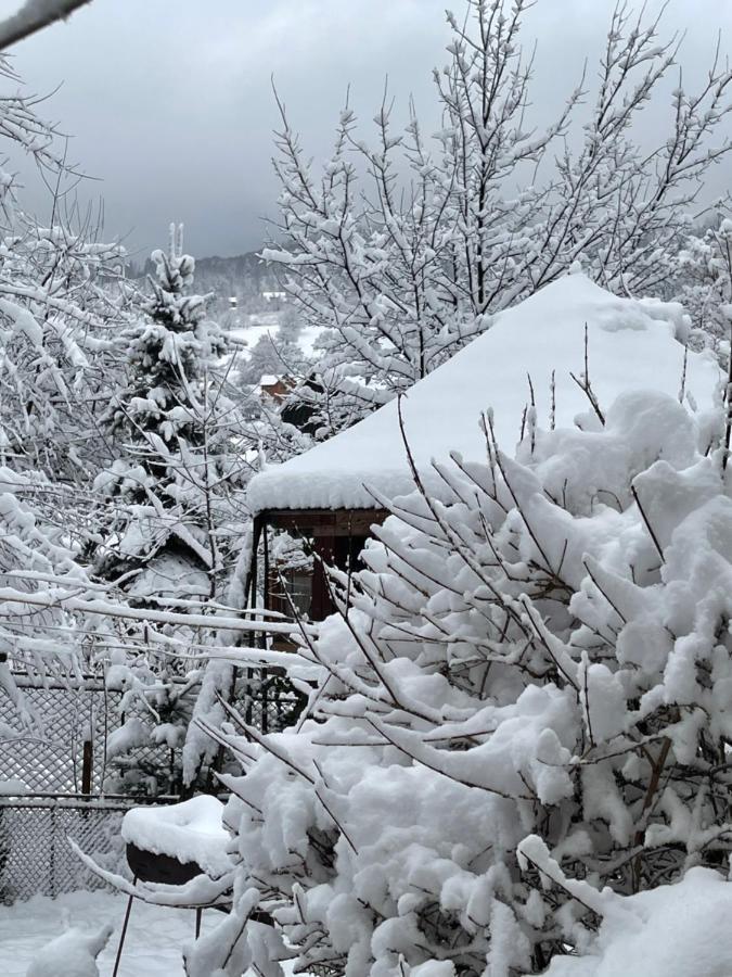 Appartamento Zabava Jaremče Esterno foto