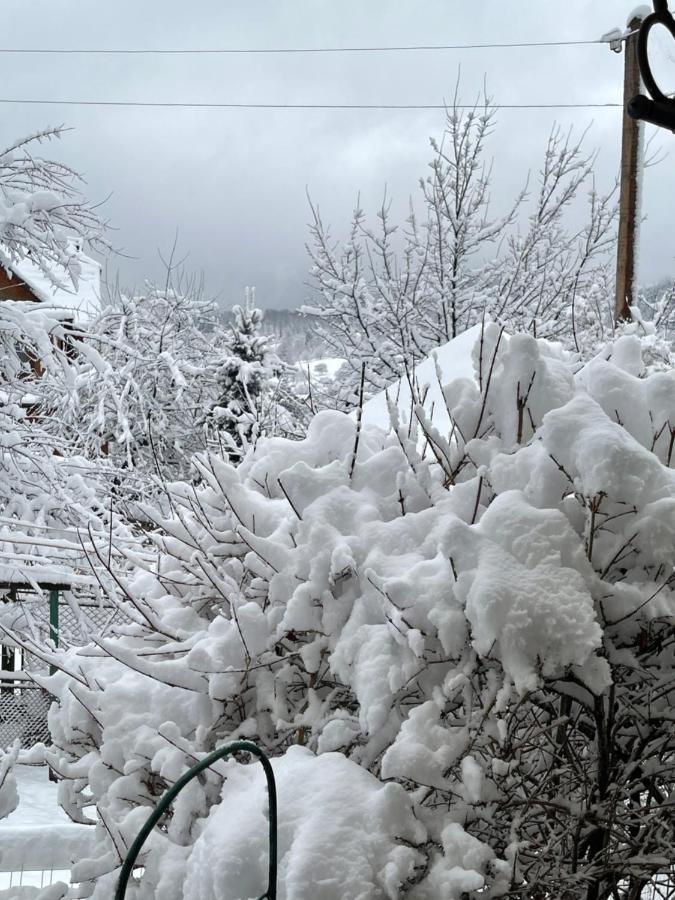 Appartamento Zabava Jaremče Esterno foto
