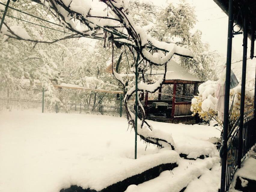 Appartamento Zabava Jaremče Esterno foto